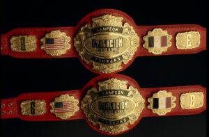 Premium Quality Gold Plated Wrestling Championship Title Belt
