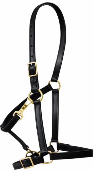 Turnout Halter Leather with brass hardware