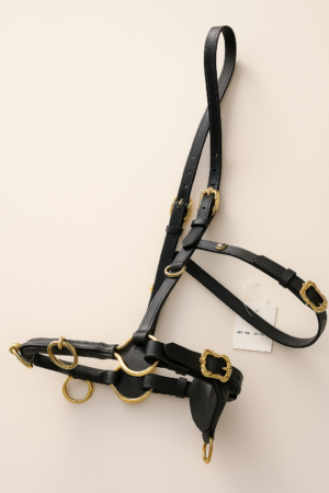 Lunging Cavesson Black Leather with Brass hardware