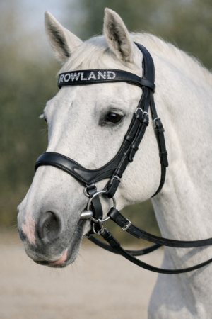 Micklem Bridle Leather with SS hardware