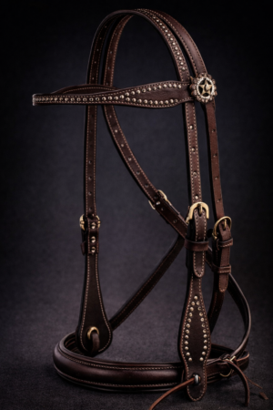 Show Bridle Leather with SS hardware