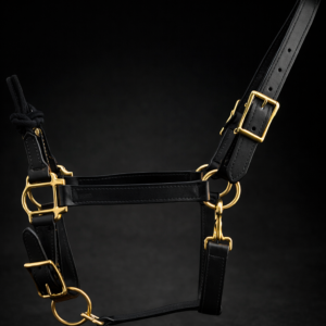 Combination Halter
