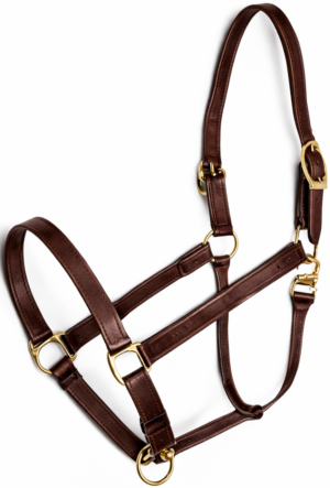 Stable Halter