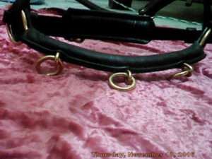 Lungging Cavesson Black Leather with Brass hardware