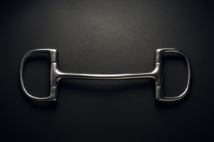 Dee Racing SS Mullen Mouth Bit