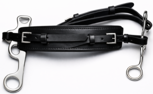 Hackamore with Straight Shanks SS Black Leather