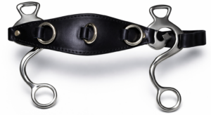 Escuela Hackamore/ Cavemore with SS Shanks