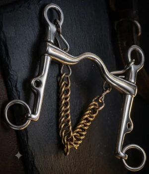 Weymouth SS Bit with Medium Port and Curb Chain