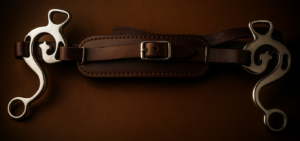 Escuela hackamore Brown Nose-band with SS Shanks