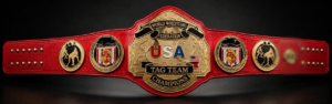 NWA United States Tag Team Championship Gold Plated Belt