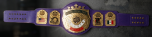 Carrillo Promotion Women Wrestling Championship Gold Plated Belt