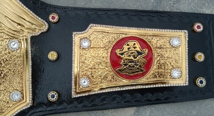 O.P.W Universal Championship Belt - Image 4