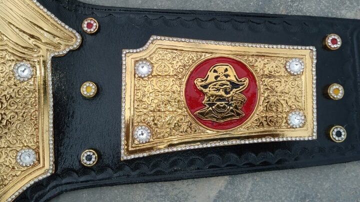 O.P.W Universal Championship Belt - Image 5