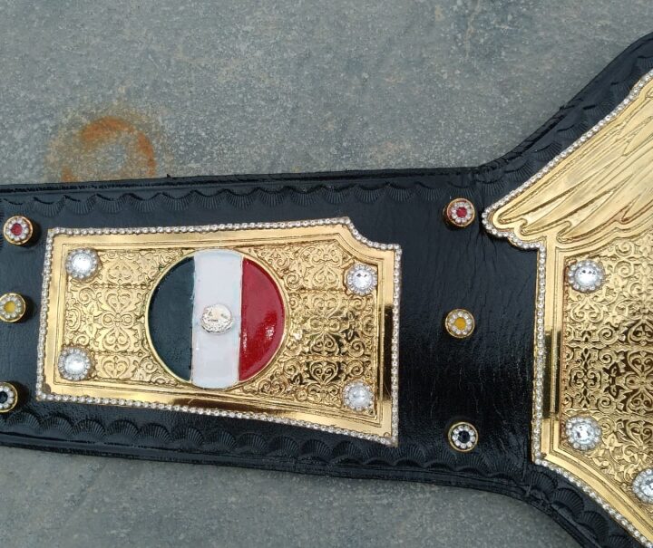 O.P.W Universal Championship Belt - Image 7