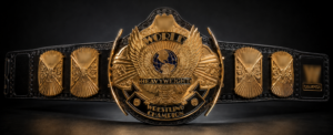 WWF Winged Eagle Gold Plated Heavyweight Wrestling Championship Belt