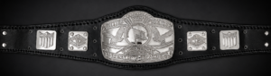 NWA United States Silver Plated Championship Belt