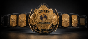 WWF Winged Eagle Gold Plated Heavyweight Wrestling Championship Belt