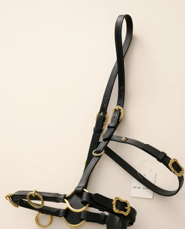Lungging Cavesson Black Leather with Brass hardware