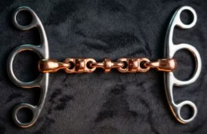 Elevator Butterfly SS Gag Bit with Copper Waterford Mouth